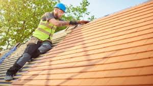 Best Rubber Roofing (EPDM, TPO)  in Lakeland, FL
